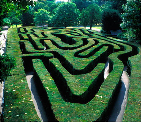 Hampton Court Maze