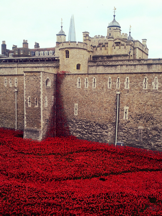 Tower_of_London_remembers_1914-2014__07